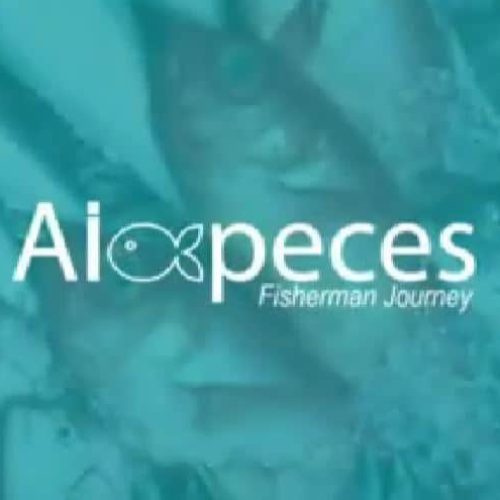 AIPeces