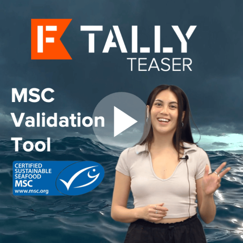 Blog - Miniaturas - TallyTeaser - Herramienta de validación MSC