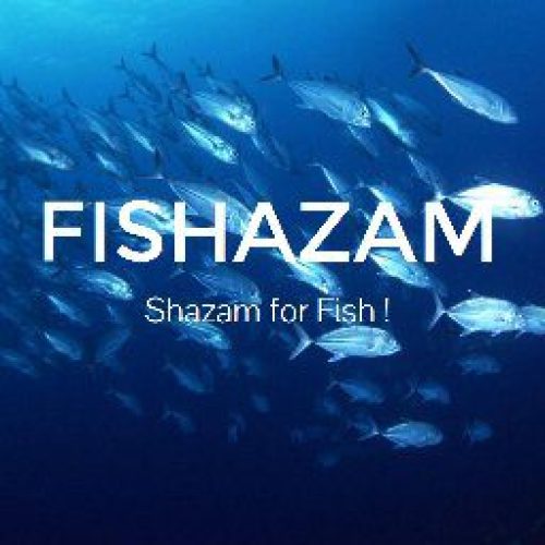 FishoidformerlyFishazam